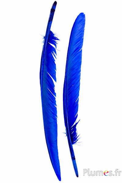 Cigno - 35-40 cm - blu